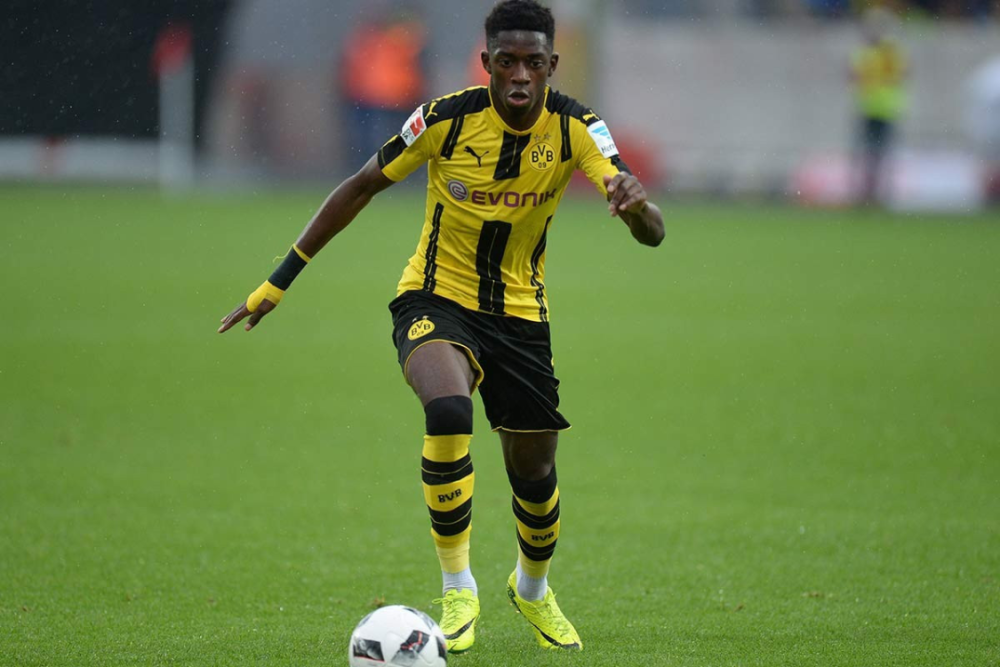 都会进行针 都会进行针